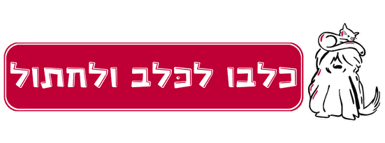 כלבו לכלב ולחתול