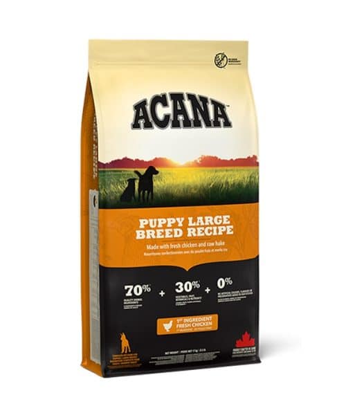 אקנה | מזון לגורי כלבים מגזע גדול