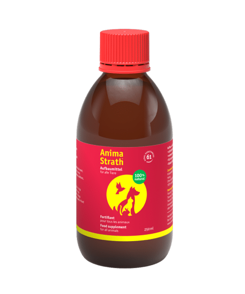 אנימה סטראט | תוסף תזונה נוזלי לחיות מחמד