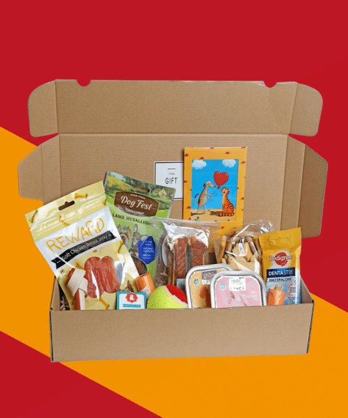 קופסת UnBox לכלב