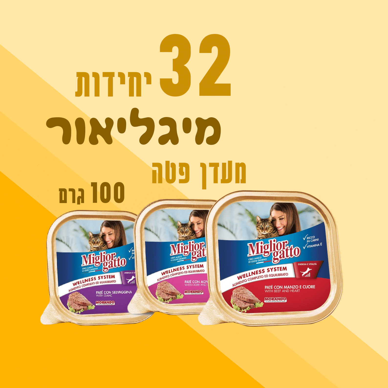 32 יח' מיגליאור מעדן פטה לחתול | 100 גר'