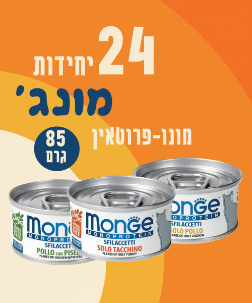 24 יחידות מונג' מונו פרוטאין 85 גרם