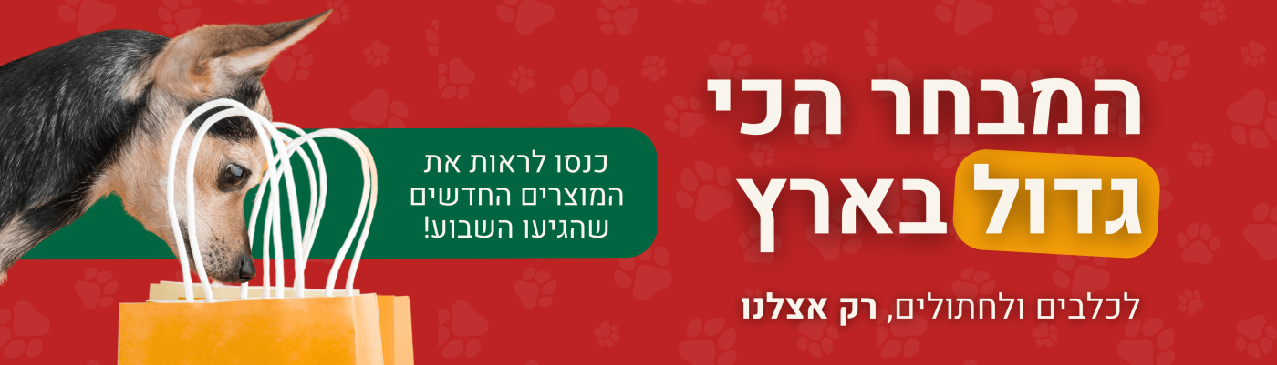 כלב בוחן שקית קניות בפרסומת חנות חיות אונליין — ציוד ומזון לכלבים ולחתולים, משלוח לכל הארץ