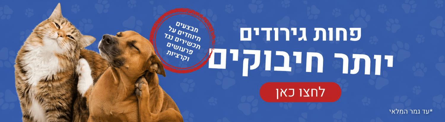 חתול וכלב מגרדים על רקע טפט כפות רגל – מודעת חנות חיות אונליין עם משלוחים לקנות אוכל לכלבים ולחתולים