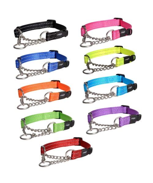 רוגז | קולר חצי חנק לכלב - מידה M