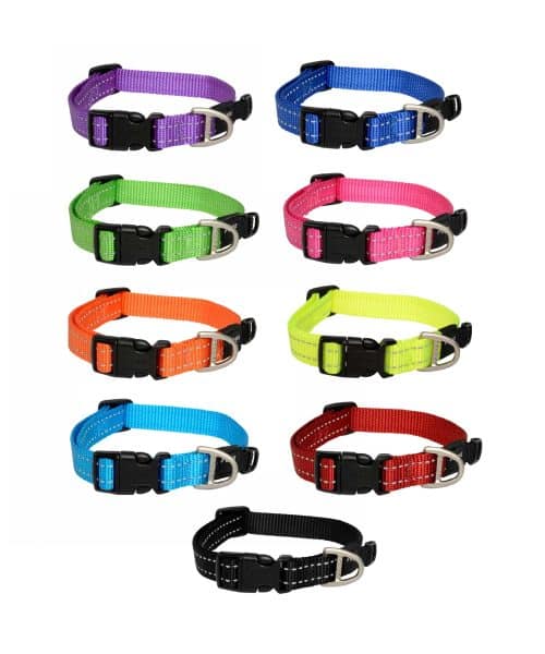 רוגז | קולר מחזיר אור לכלב | מידה L