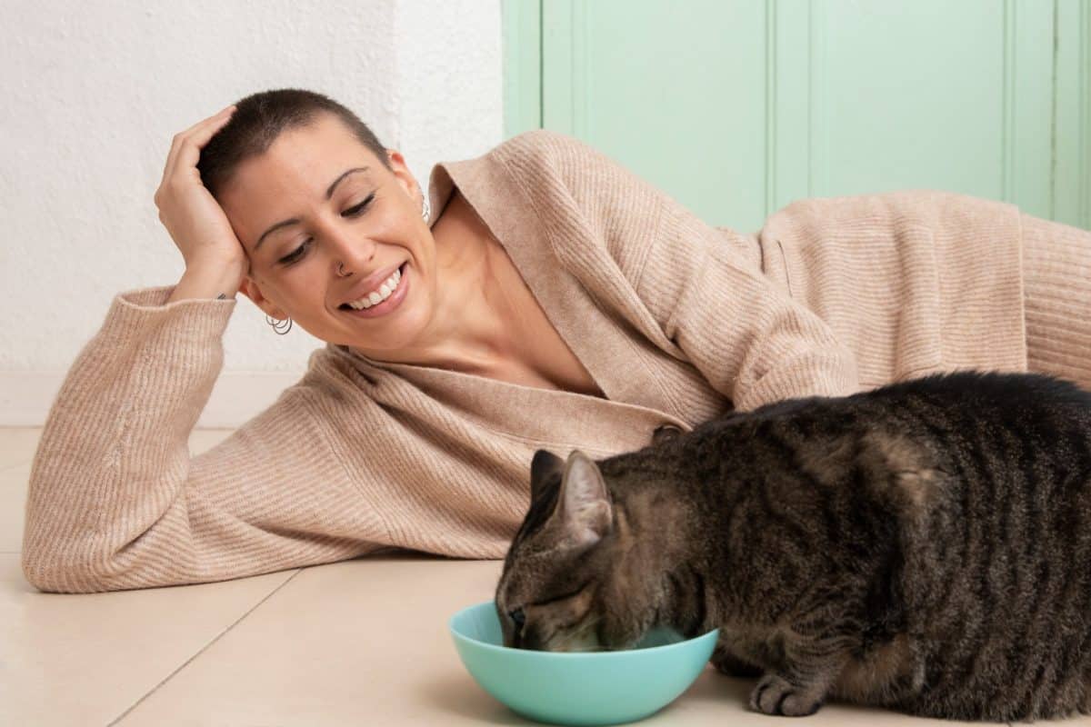 האם חתולים זקוקים למזון רטוב? גלו את היתרונות של מזון חתולים רטוב
