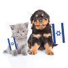 מחזקים את כוחות הבטחון - כלבו לכלב ולחתול