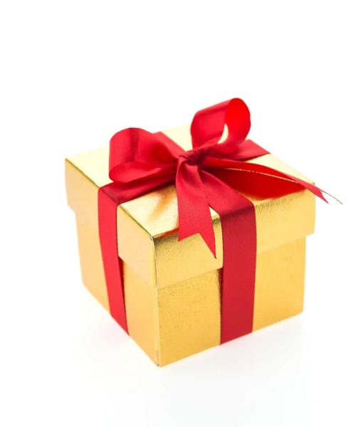 מתנה לכלב ולחתול