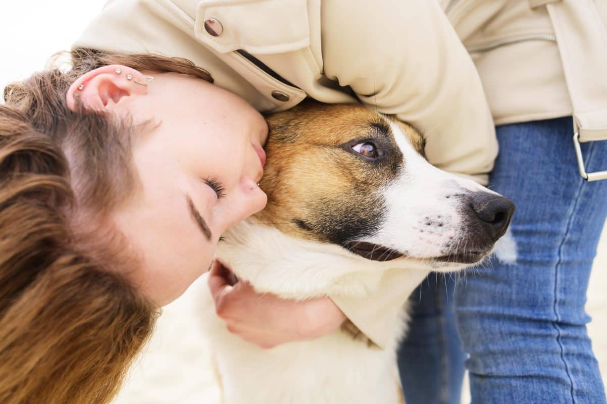 כלבים עם קיבה רגישה: סימני זיהוי ודרכי טיפול לכלבים עם בטן רגישה