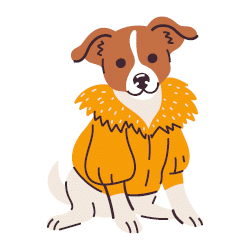 ביגוד ותיקי נסיעה לכלבים