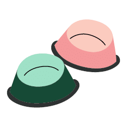 כלי אוכל ושתייה לכלבים