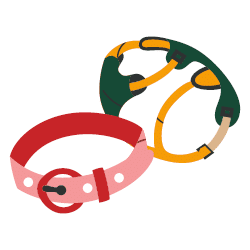 קולרים רצועות ורתמות לכלבים