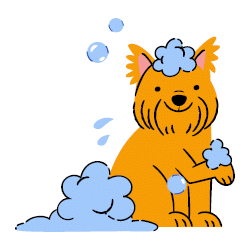 שמפו וטיפוח לכלבים