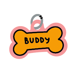 תגי שם לחיות מחמד