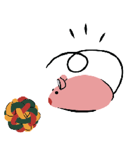 צעצועים לחתולים