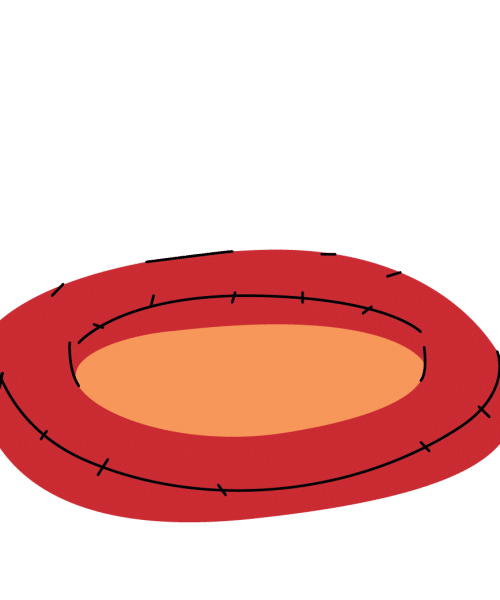 חול לחתולים