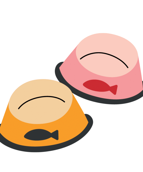 כלי אוכל ושתייה לחתולים