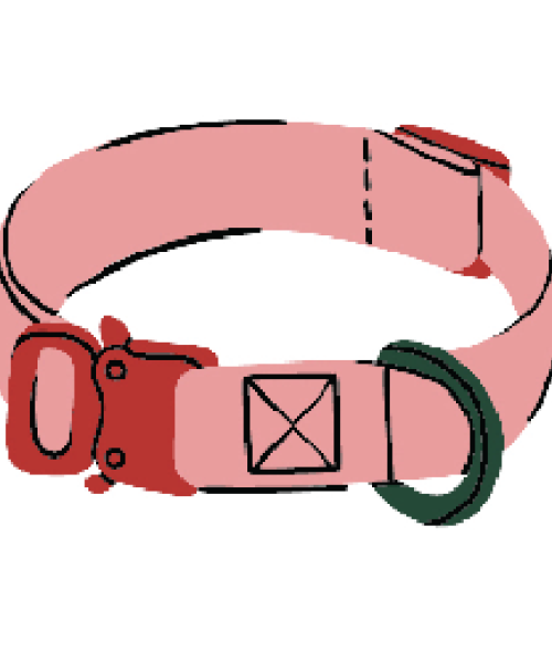 קולרים לחתולים