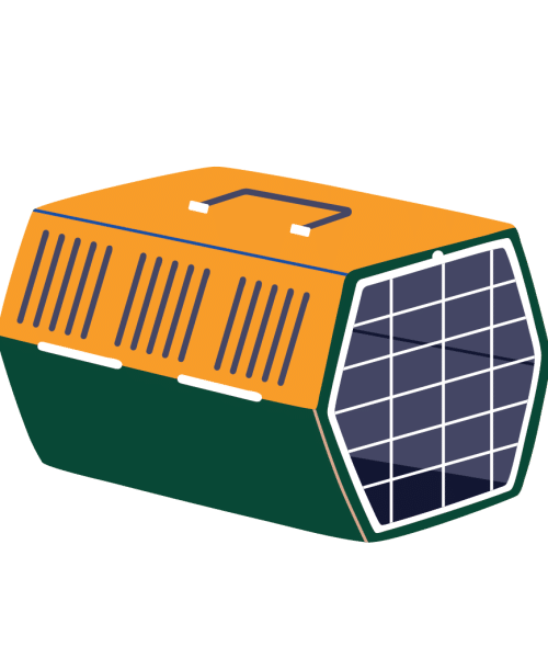 מיטות, כלובים ודלתות לחתולים