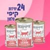 24 יחידות קיפי סלמון