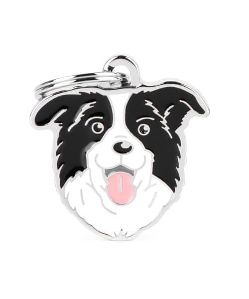 תג שם לחיות מחמד - בורדר קולי