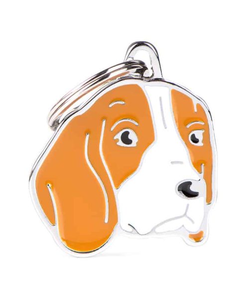 תג שם לחיות מחמד - ביגל