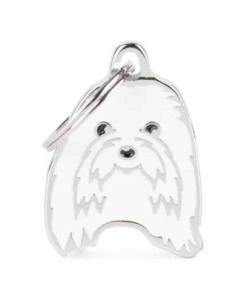 תג שם לחיות מחמד - מלטז