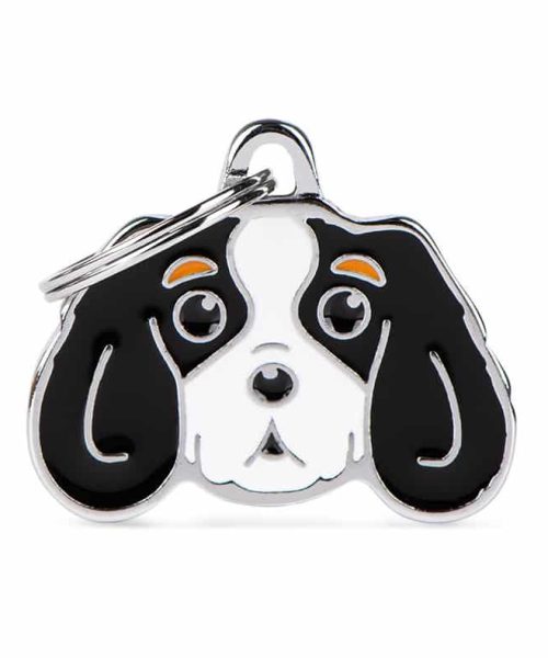 תג שם לחיות מחמד - קינג צ'ארלס טריקולור