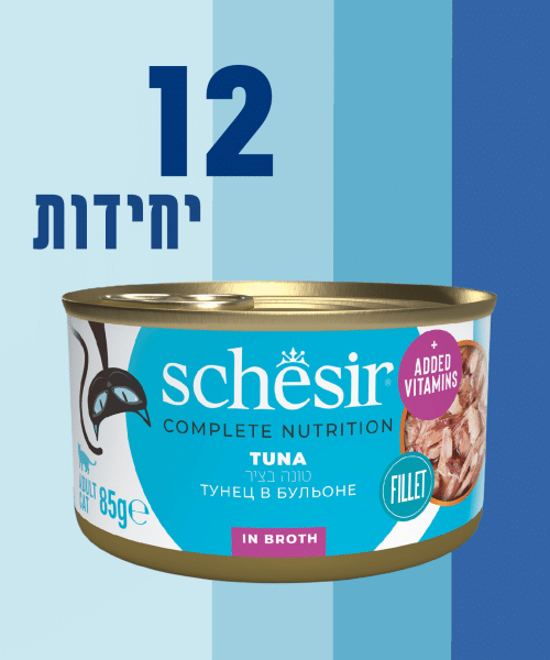 12 יחידות