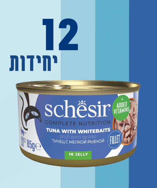 12 יחידות