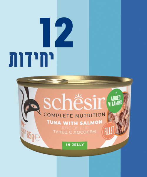 12 יחידות