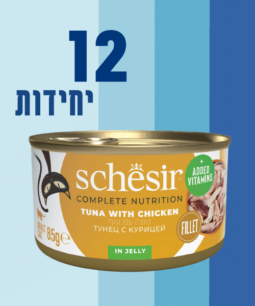 12 יחידות