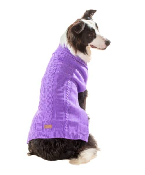 בובו | סוודר לכלבים - סגול