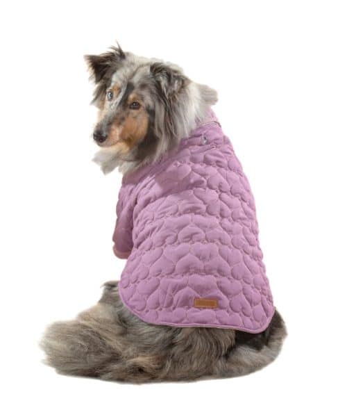 בובו | מעיל לבבות לכלבים - סגול