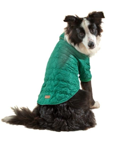 בובו | מעיל לבבות לכלבים - ירוק