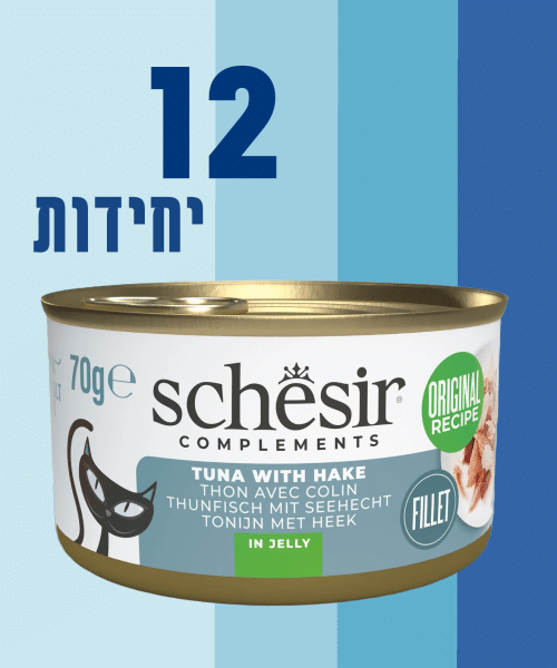 12 יחידות