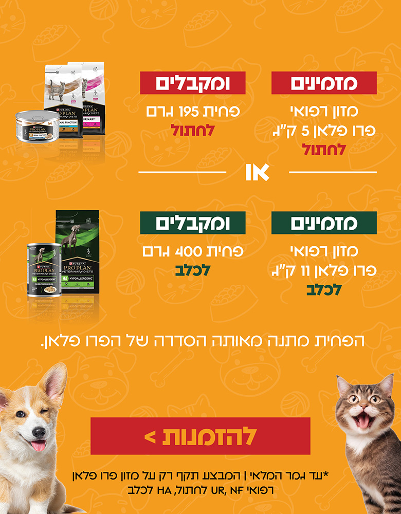 מזמינים מזון רפואי פרו פלאן 11 קג לכלב ומקבלים פחים 400 גרם לכלב, הפחית מתנה מאותה הסדרה של הפרו פלאן עד גמר המלאי המבצע תקף רק על מזון פרו פלאן רפואי NF , UR לחתול, HA לכלב - חנות חיות מזמינים מזון רפואי פרו פלאן 11 קג לכלב ומקבלים פחים 400 גרם לכלב, הפחית מתנה מאותה הסדרה של הפרו פלאן עד גמר המלאי המבצע תקף רק על מזון פרו פלאן רפואי NF , UR לחתול, HA לכלב - חנות חיות