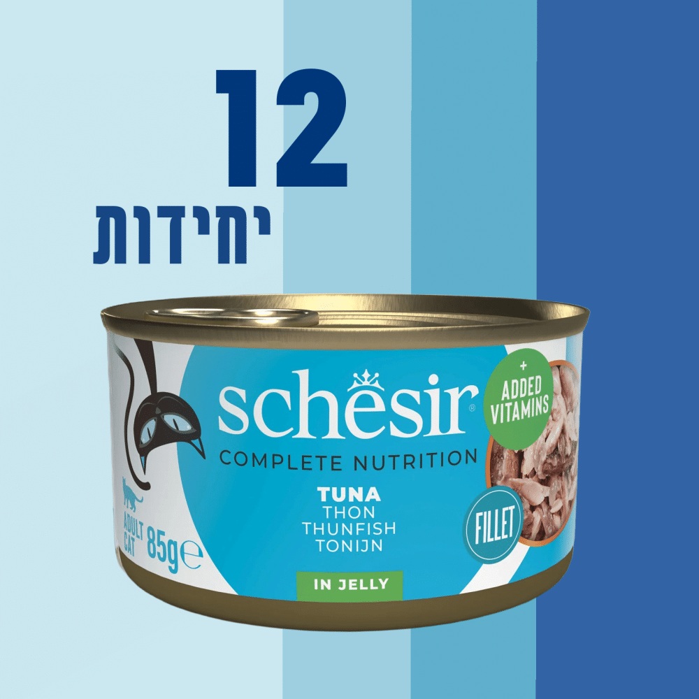 12 יחידות