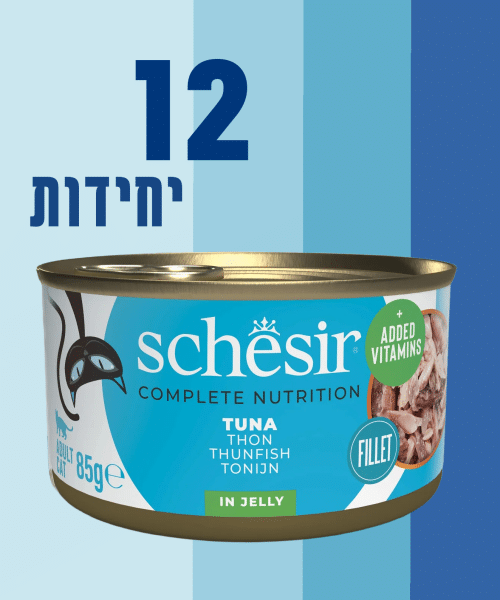 12 יחידות