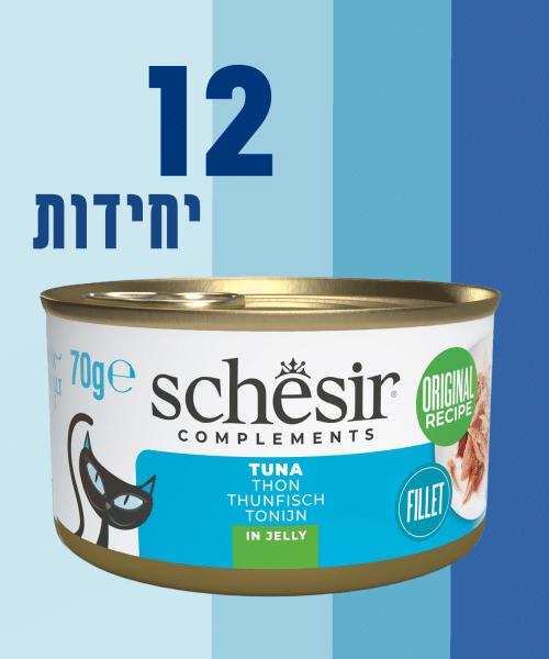 12 יחידות