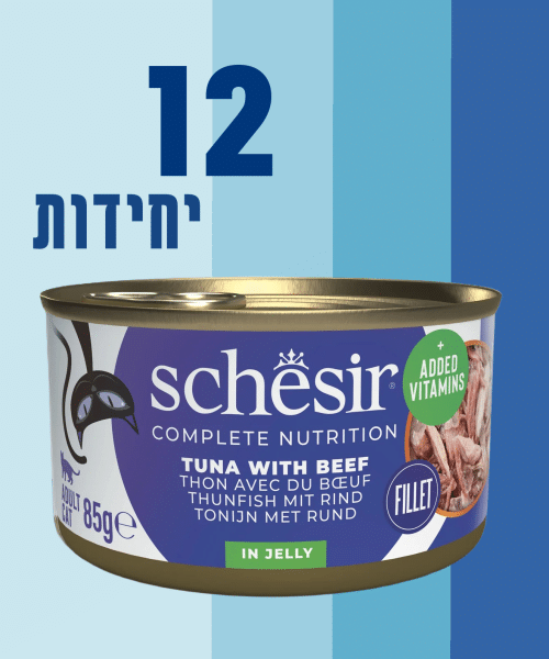12 יחידות
