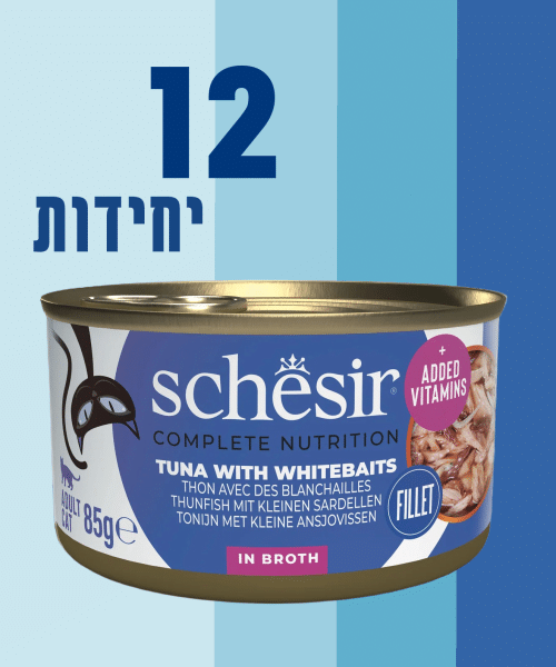 12 יחידות
