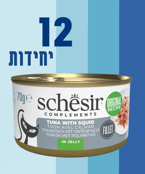 12 יחידות