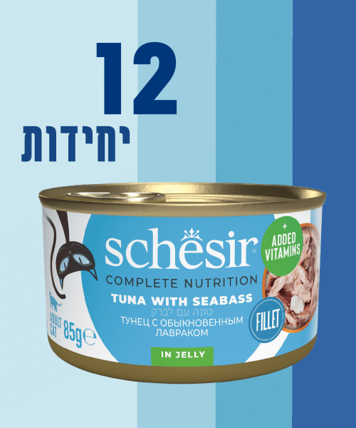 12 יחידות