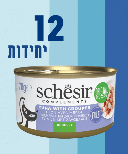 12 יחידות