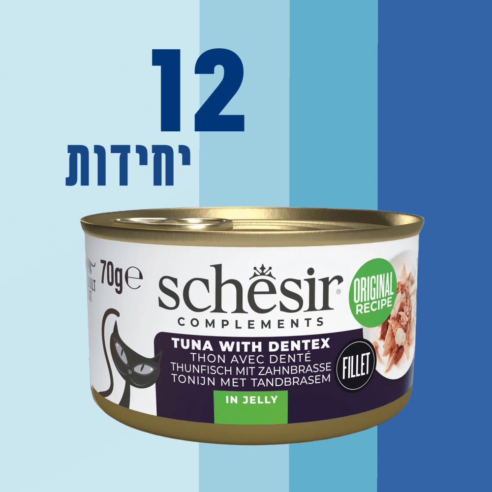 12 יחידות