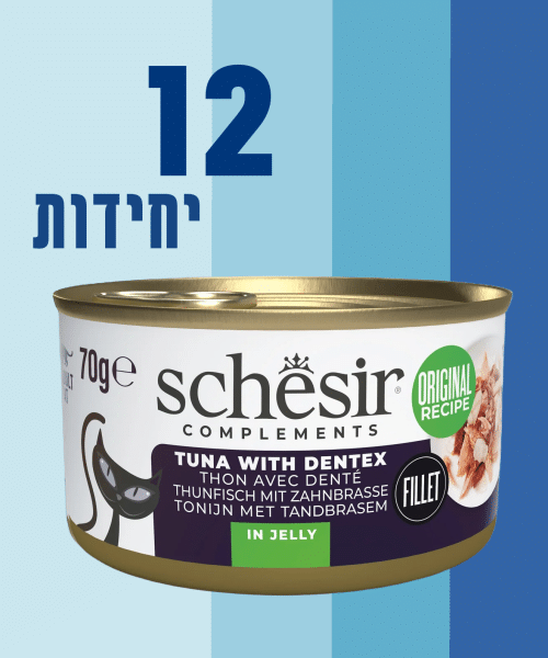12 יחידות