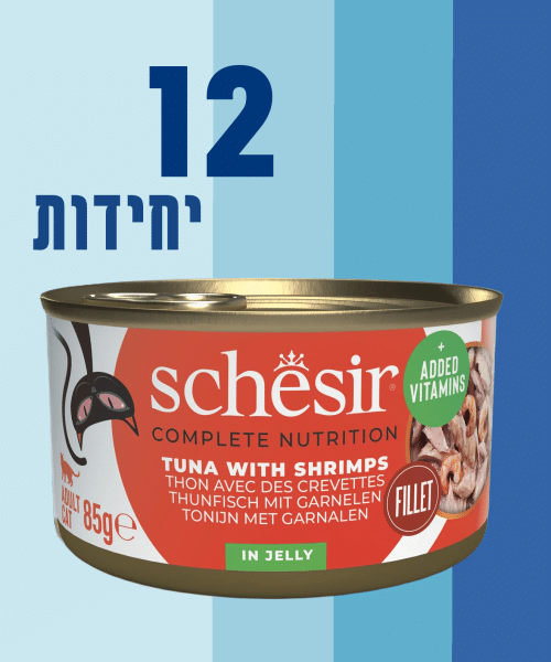 12 יחידות