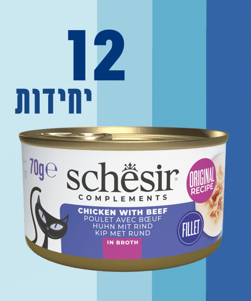 12 יחידות